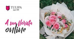 tulipa-florista-online